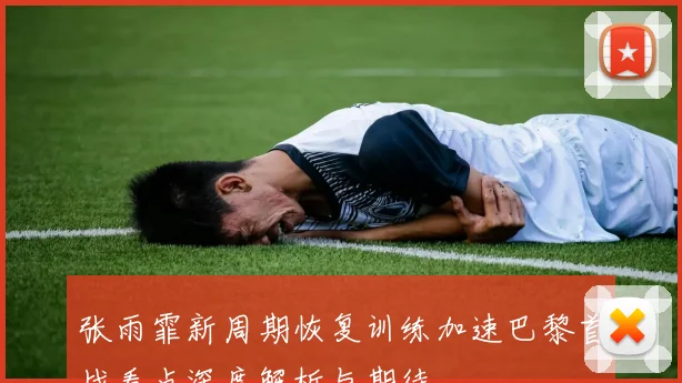 张雨霏新周期恢复训练加速巴黎首战看点深度解析与期待